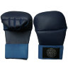 Перчатки для карате WKF "Agata"